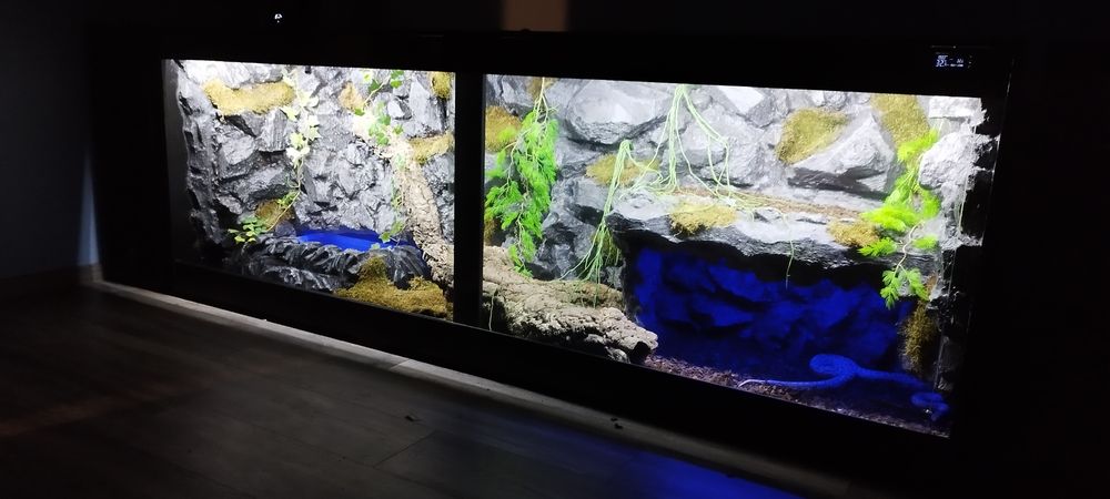 Gotowe terrarium pustynne z wystrojem pod zamowiemke