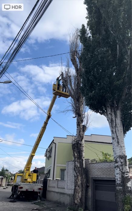 Уборка территории и вывоз мусора и хлама