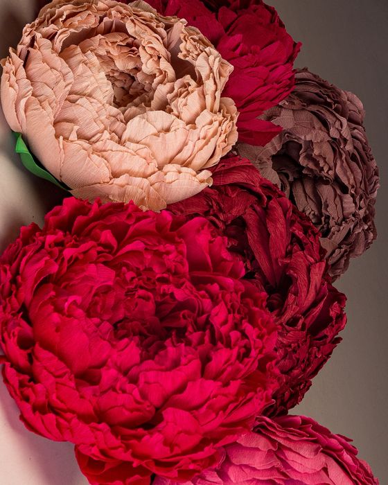 Штучні квіти великі квіти фотозона великі піони креп папір декор