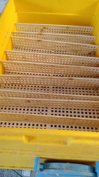 Chocadeira elétrica