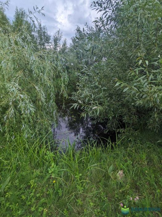 Продається готовий будинок у с. Липівка по вулиці Миру (12)