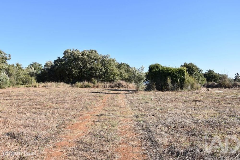 Terreno para construção em Areias e Pias de 8120,00 m2