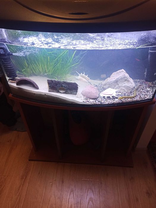 Sprzedam akwarium 112 l panorama