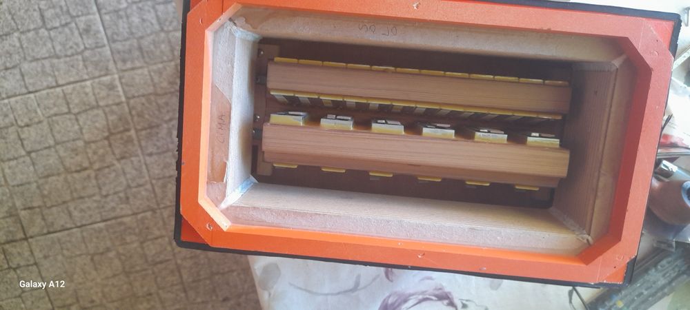 Organetto C.P. Ficosecco64174793732355124