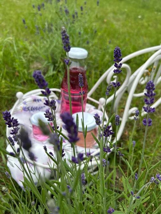 Lawendowy Syrop - 100 % naturalny