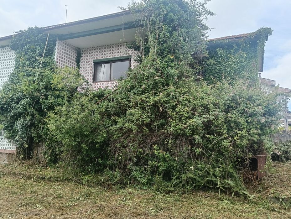 limpeza de terrenos e jardins