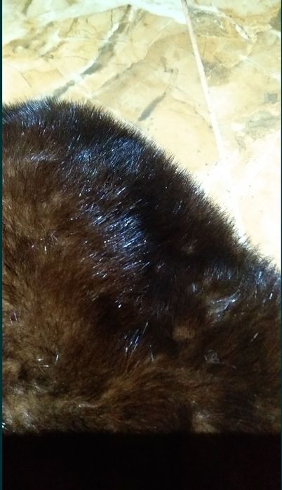 Шуба каракуль натуральна норка