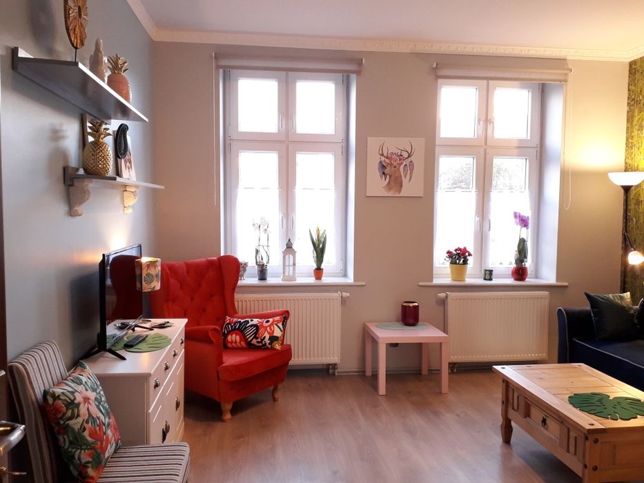 Pokój w centrum. Elastyczna umowa