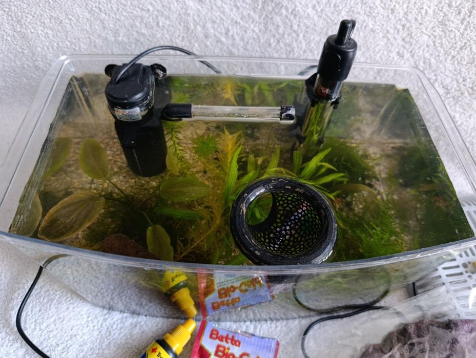 Akwarium z wyposażeniem