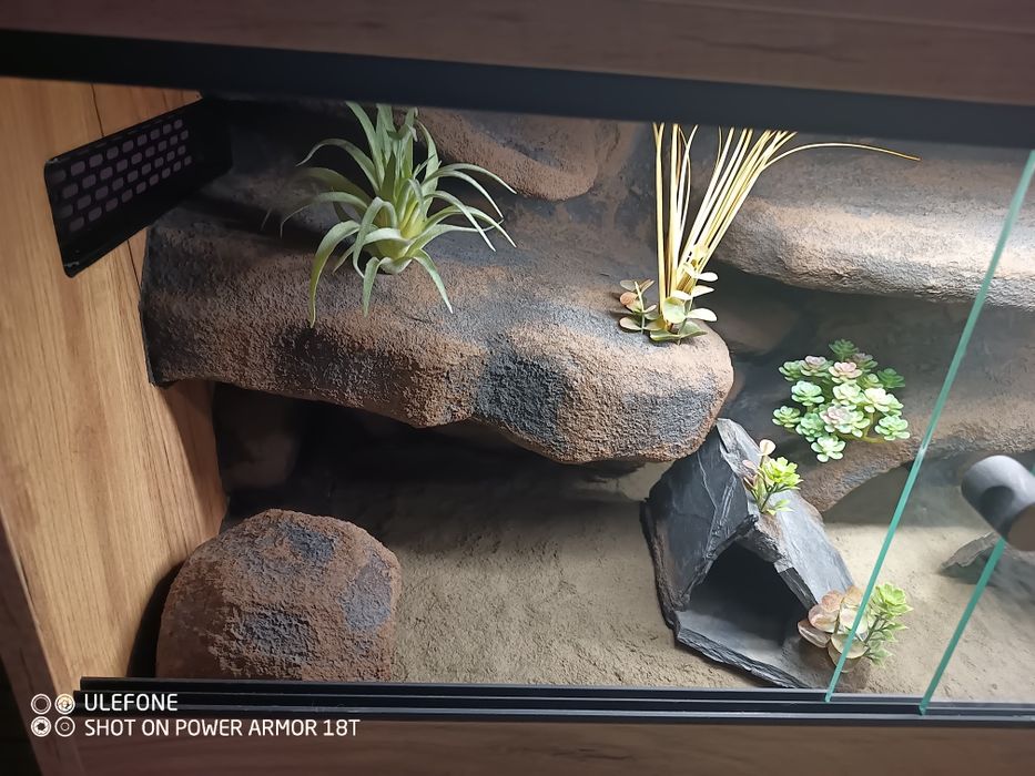 Terrarium 80x40x40