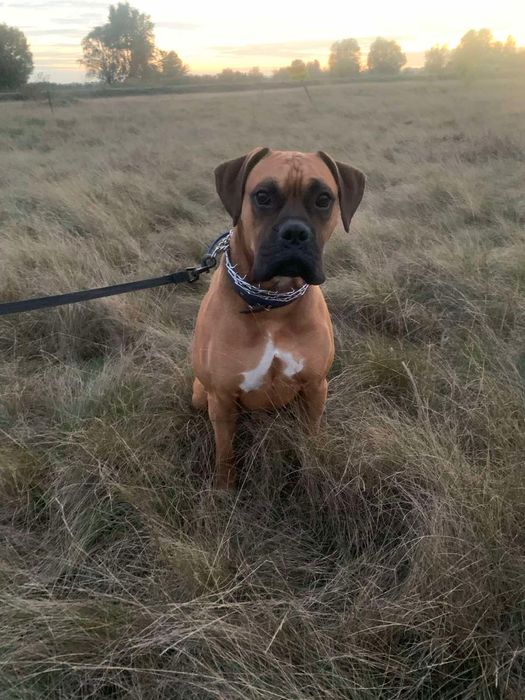 Шукаємо дівчину для вʼязки. Безкоштовно.