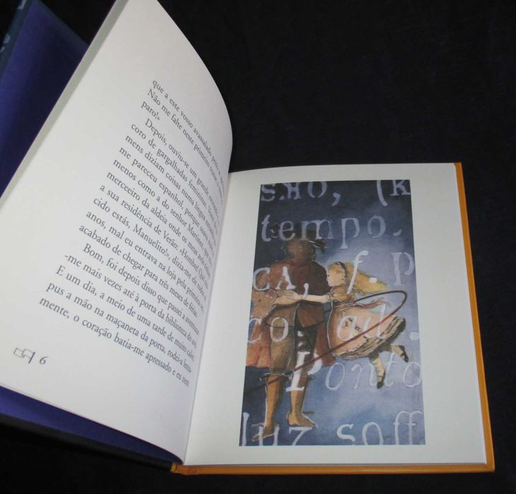 Livro As Palavras Difíceis António Mega Ferreira Fernanda Fragateiro