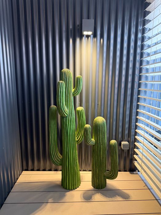 2 magníficos cactos decorativos, preço novo 339 €