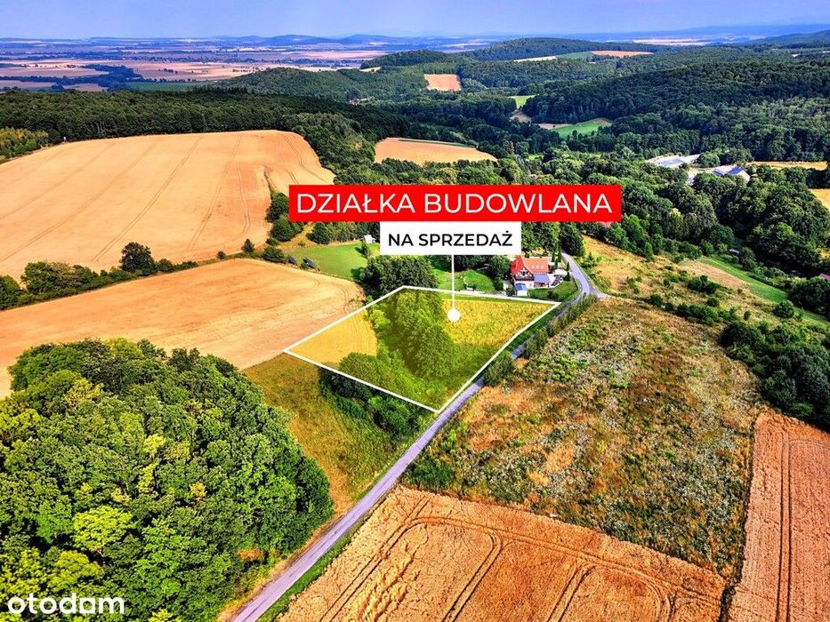 Myślinów | okolice Jawora