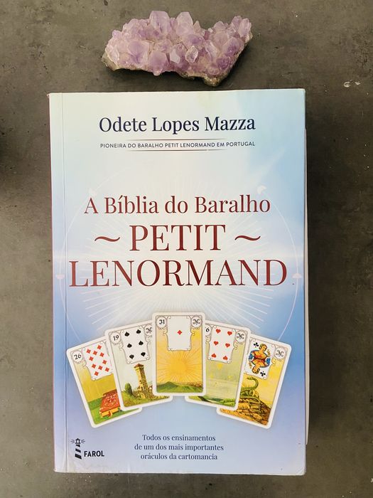 Livro a Biblia do baralho