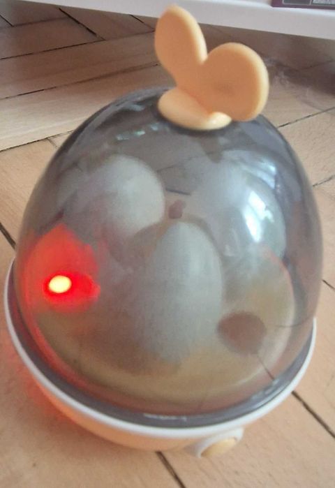 Sklepik dla dziecka