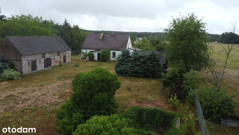 zabudowa mieszkaniowa pod lasem i zagrodowa
