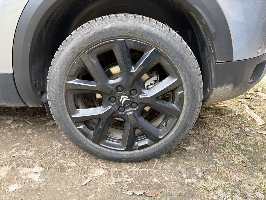 Opony zimowe Triangle WinterX TW401 205/55R19 97 V