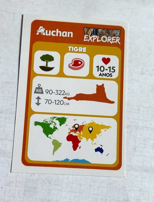 3 Cartas National Geographic Kids - Tigre & Urso