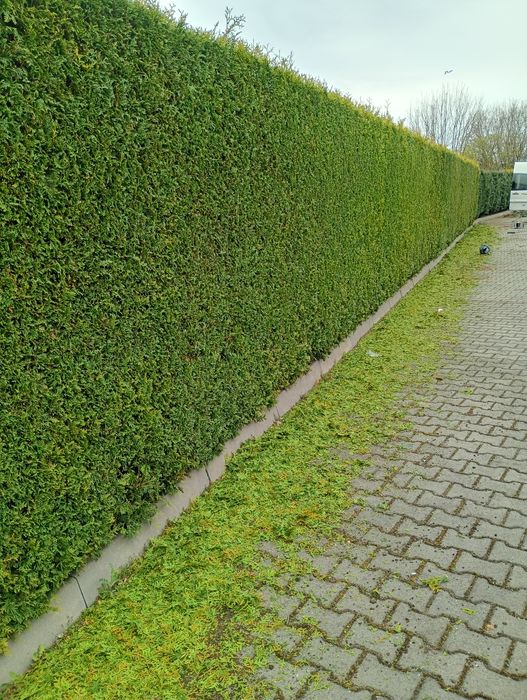 Usługi Ogrodnicze., Zakładanie Ogrodów