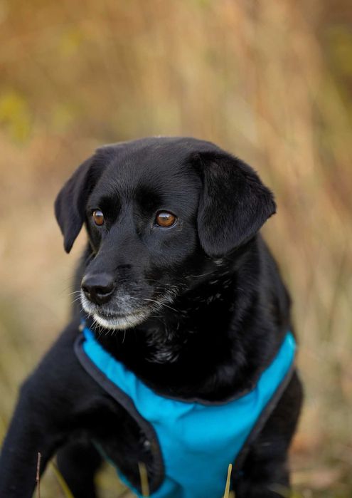 Migdał - młody, mały, wrażliwy - daj mu sznasę