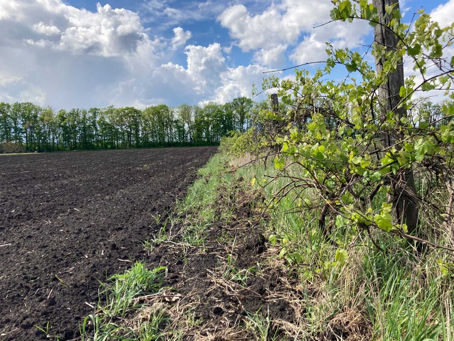 Продам земельну ділянку під комерцію біля складів Нової Пошти, Вінниця