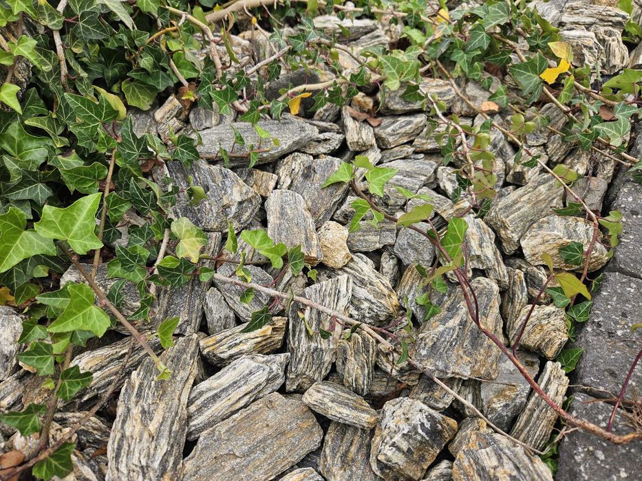 Kora kamienna gruba Nasielsk Pułtusk Ciechanów