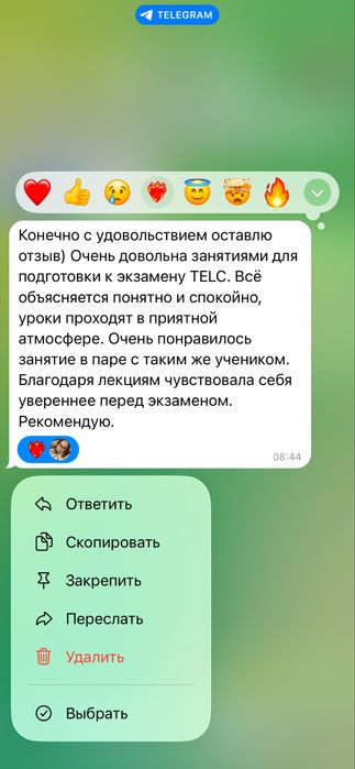 Репетитор польского языка, подготовка egzamin  państwowy TELC B1-B2