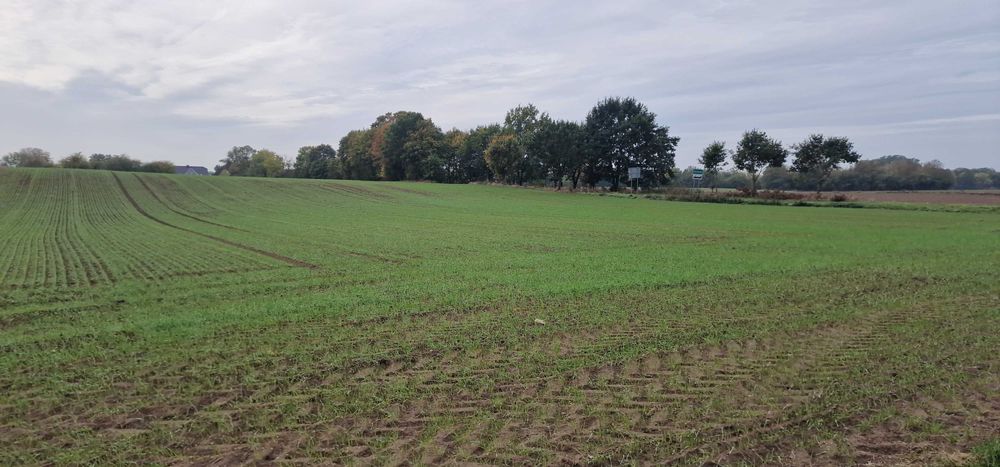 Stargard -Kiczarowo DZIAŁKA 2728 m² –4 WZ! - Widok 3
