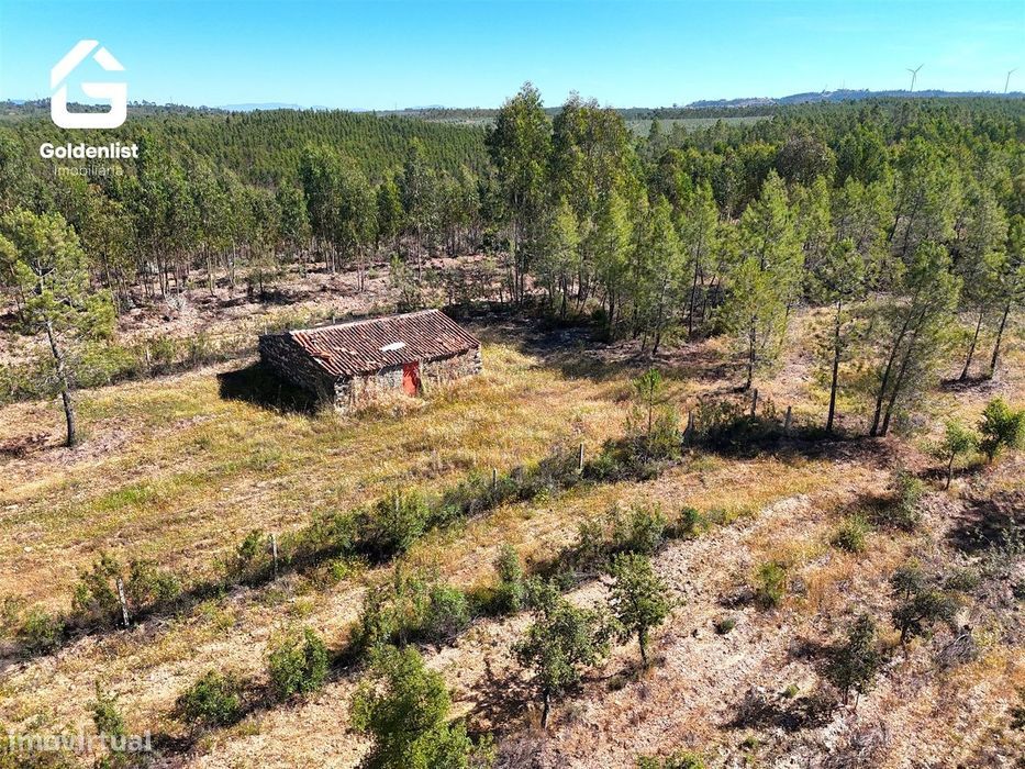 Quinta  Venda em Sarnadas de Ródão,Vila Velha de Ródão