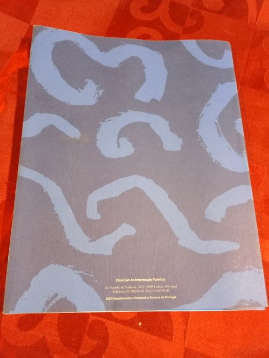 Livro viagem do artista