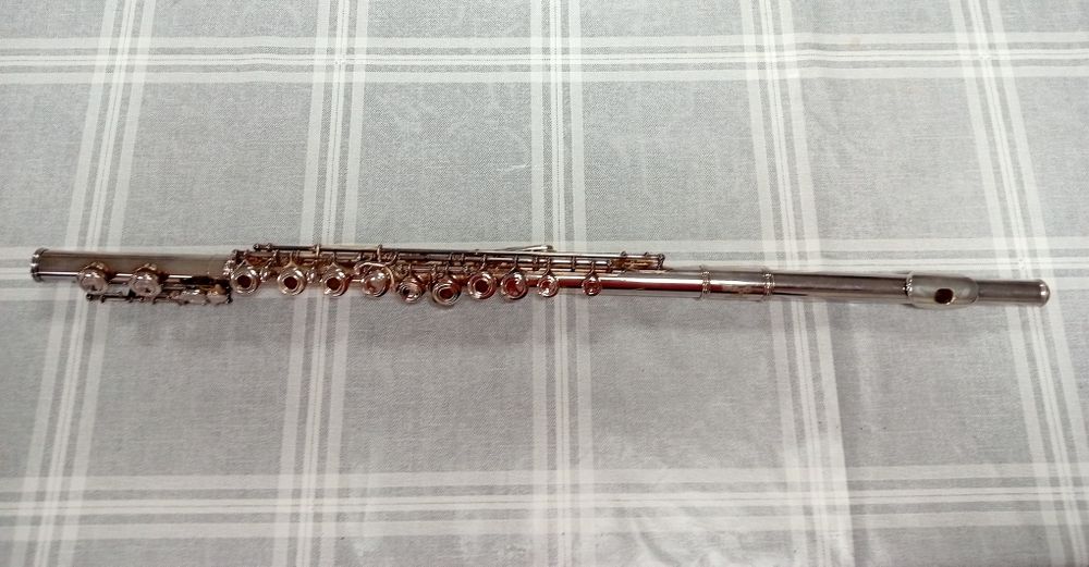 Flauta transversal64173148688386120