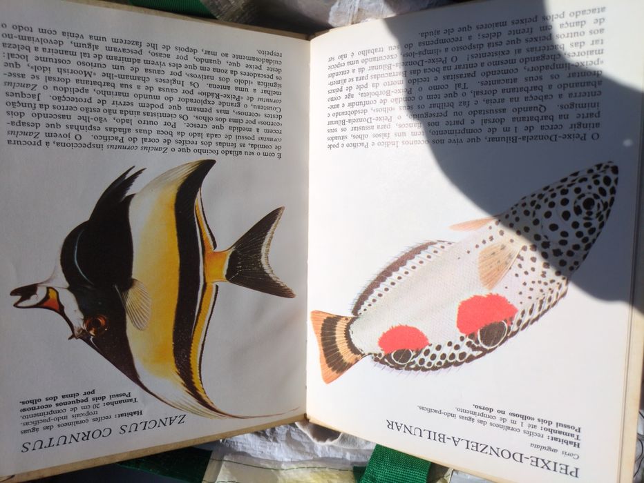 Livros Maravilhosos Peixes de Norman Weaver e Christine Bernard