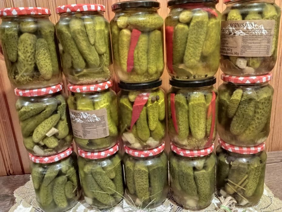 Ogórki kiszone, naturalnie kiszone ogórki, sezon 2025