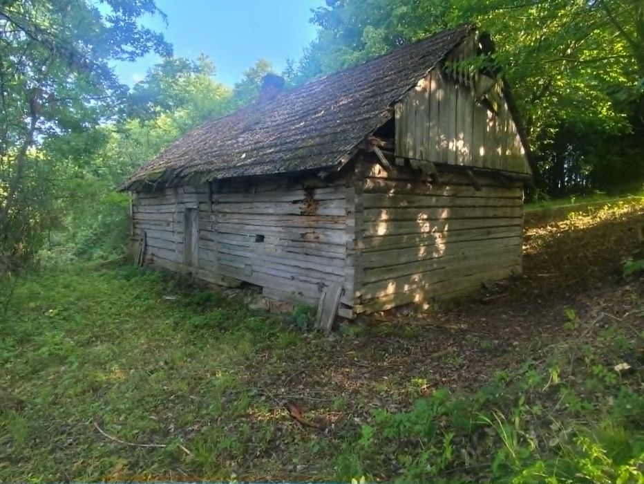 Sprzedam działkę ze starym domem Błędowa Tyczyńska - Widok 4