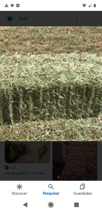 Entrego Fardos de palha