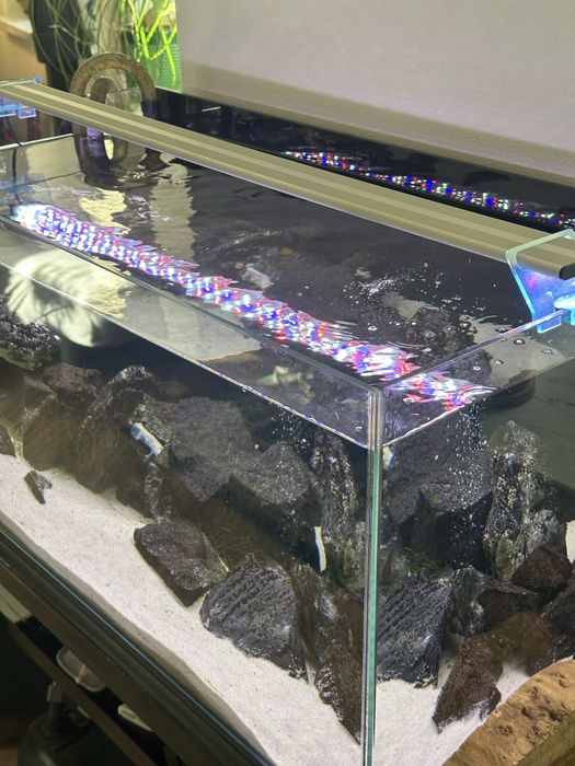 Akwarium 100 l optiwhite zestaw kompet