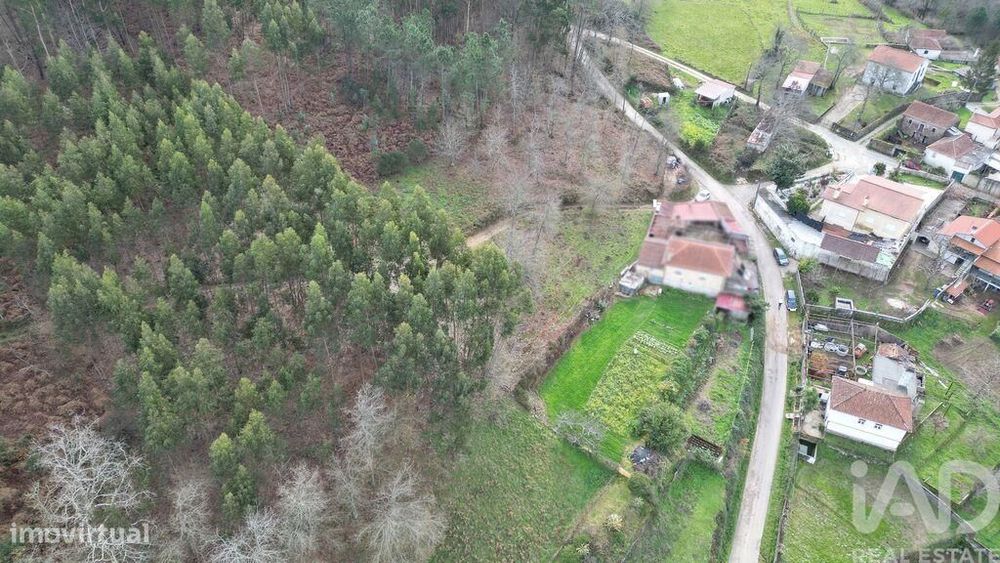 Terreno para construção em Espinhal