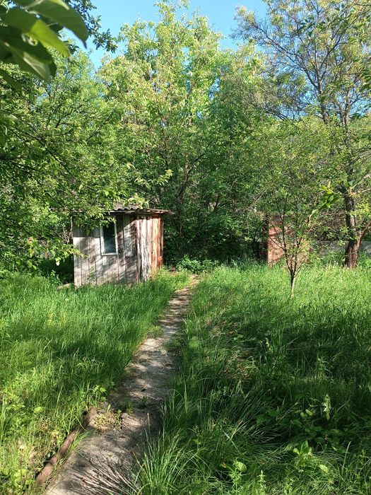 Срочно продам дачу с .Тарановка кооператив ,,Эксперимент"