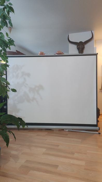 Projektor  Benq z rozwijanym  ekranem na statywie