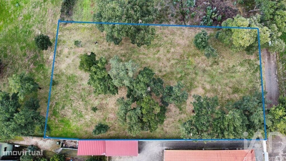 Terreno Agrícola em Figueiró dos Vinhos e Bairradas