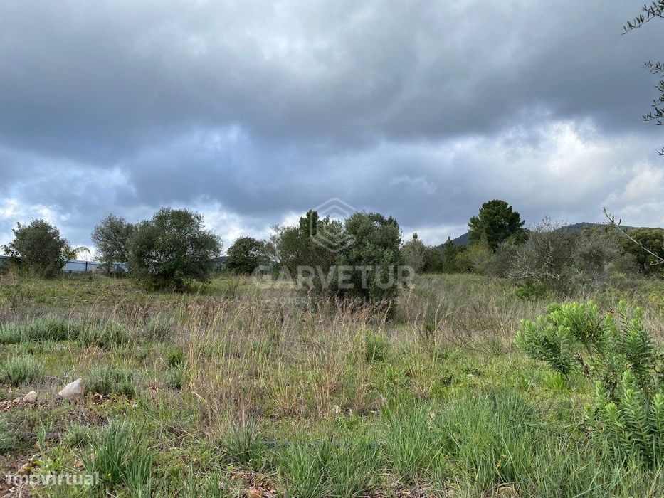 Terreno Rustico com 8 600m2, Salir, Algarve — Salir, Faro
