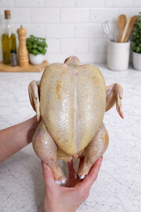 Домашній бройлер годований кукурудзою і пшеницею.Можлива доставка.