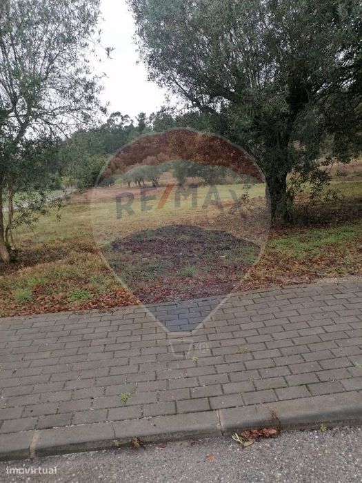 Terreno  para venda — Colmeias E Memória, Leiria