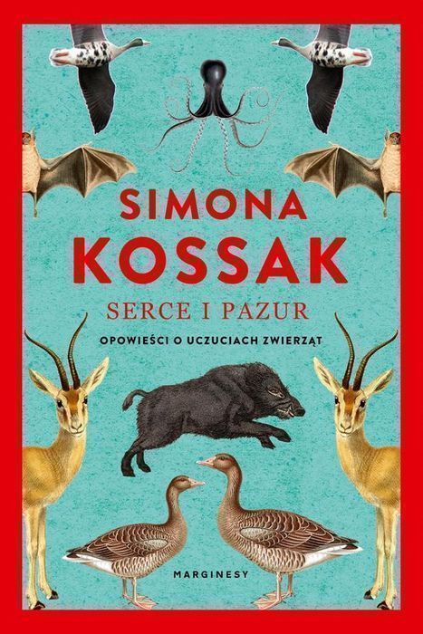 Serce I Pazur Kossak Simona