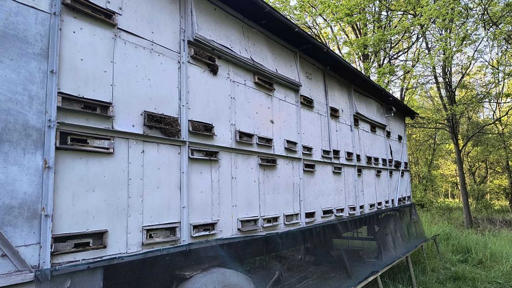 Pawilon pszczelarski wóz pszczelarski plus pszczoły