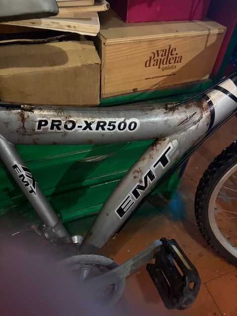 Bicicleta Adolescente