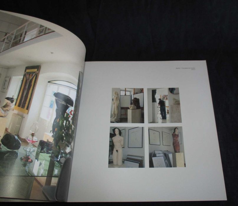 Livro Francisco Simões Escultura Desenho Cerâmica