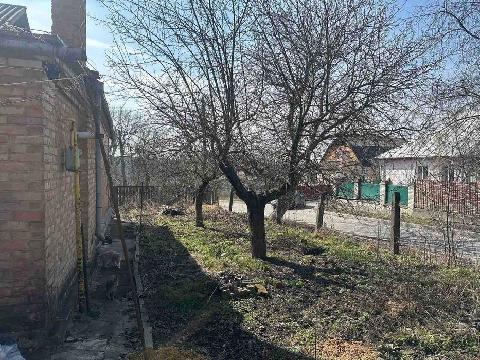 Продам будинок в Немирові 8487