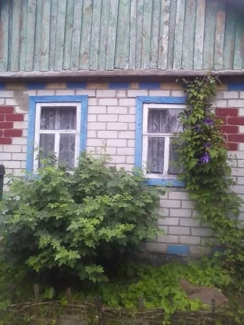 Продається частний будинок в селі Стольне Чернігівська область